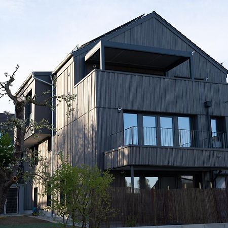 Gaestewohnung In Massivholzhaus 金茨堡 外观 照片